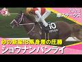 【衝撃V！オルフェーヴル産駒×池添謙一騎手】2026年堺ステークス　ショウナンバンライ 実況：石田一洋【カンテレ公式】
