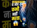 👉ये जीव कभी नहीं मरता😱|Amazing Facts#Shorts #Facts #HindiFacts #DidYouKnow #AmazingFacts #FactShorts