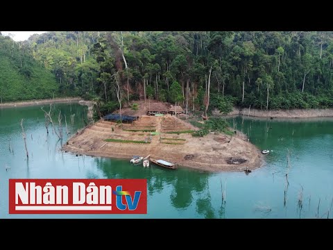 Video: Vườn quốc gia Tarangire: Hướng dẫn đầy đủ