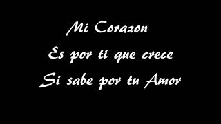 La Rosa, The Rose Sung in Spanish Cracking The Code Of Rosa Meaning And Significance In Spanish