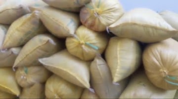 Một công trồng lúa ở Miền Tây nhà nông lời được bao nhiêu tiền?