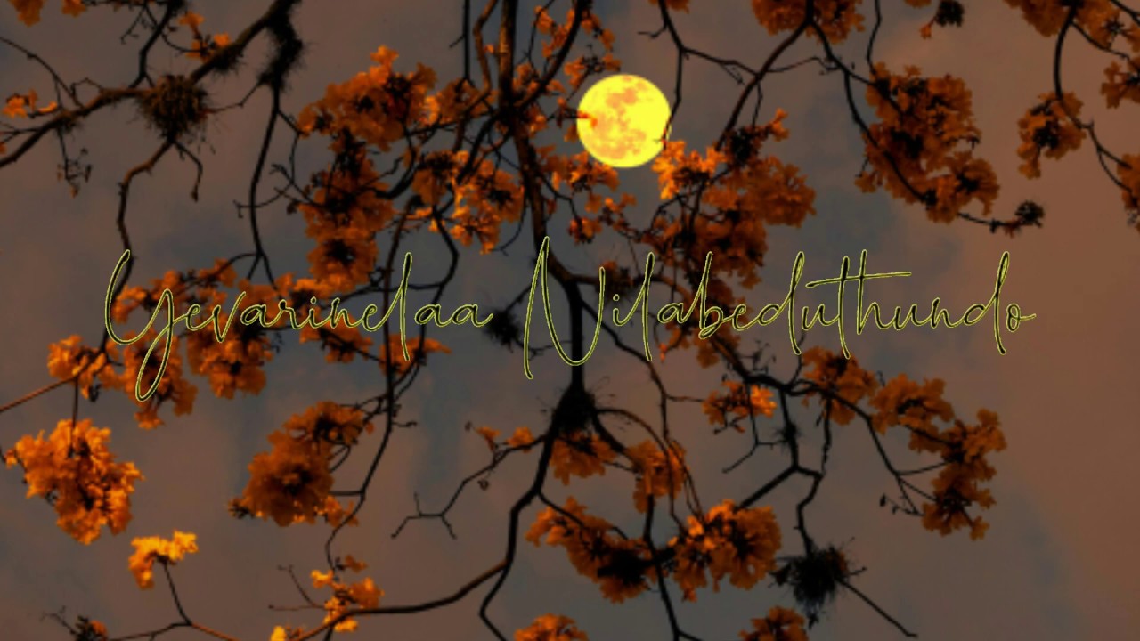 Ye Kadha Song Lyrics For Whatsapp Status Kerintha Dr Creations Official Youtube youtube