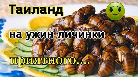 Ужин жареные тараканы Паттайя  Таиланд