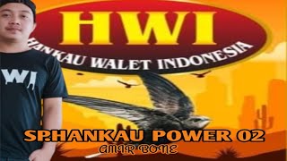 Suara Walet Yang terbukti Menginapkan Burung Walet..