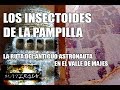 LA RUTA DEL ANTIGUO ASTRONAUTA DEL VALLE DE MAJES, VÍTOR Y LA JOYA EN AREQUIPA