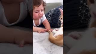 When Your Baby Falls In Love With Your Eight Rescue Cats | The Dodo