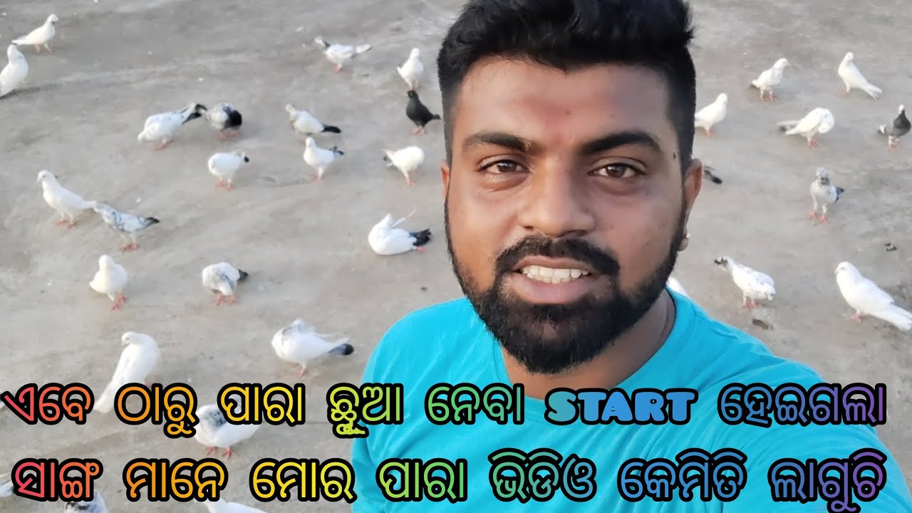 ଆସନ୍ତୁ ଭାଈ ମାନେ କିଛି ମୋର ଘର ଛୁଆ ପାରା ଦେଖିବା❤️😘 ll @mk-odia-vlogs