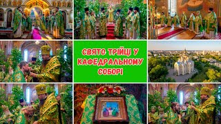 Свято Трійці У Кафедральному Соборі