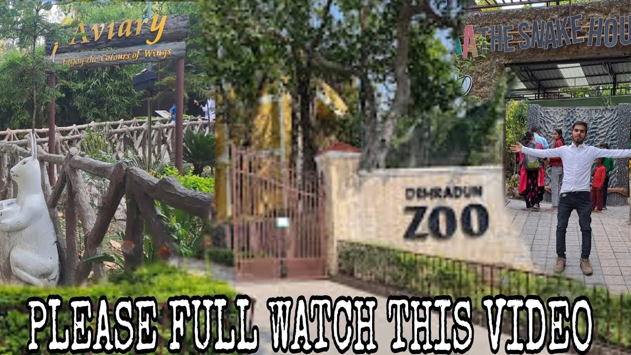 Dehradun Zoo Full detail of Dehradun zoo देहरादून जू घुमने की सबसे
