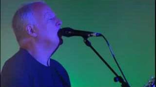 High Hopes (Live In Gdansk) - David Gilmour chords