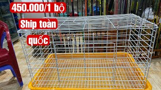 Thêm bé thỏ Hà Lan được ship đi xa, chi tiết lồng thỏ kiểng nuôi trong nhà, cung cấp sỉ lẻ