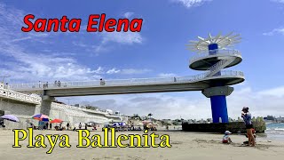 BALLENITA SANTA ELENA ECUADOR 2022