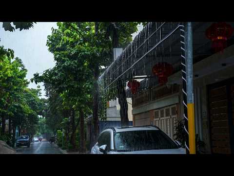 Gentle Rain in Nature 🌧️ Soothing Natural Sounds for Better Sleep and Peaceful Nights