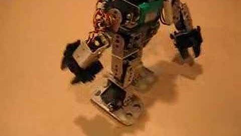 Biped Robot - The Bratinator