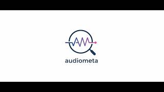 AudioMeta Web App: Edit Audio Metadata in Your Browser (ID3, Vorbis, RIFF) screenshot 1