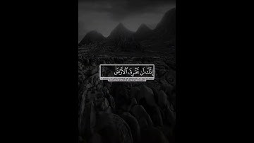تلاوة عطرة 🌺 ارح سمعك وقلبك