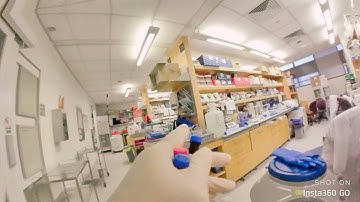 Just another day in the lab