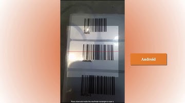 How to use UserInput command in MNSBLauncher?