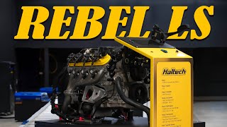 REBEL LS STAND - A One Week Build