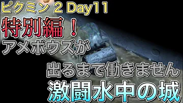 水中の城 まで ピクミン 水中の城 まで ピクミン
