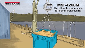 The MSI-4260M is the Ultimate Crane Scale for Commercial Fishing