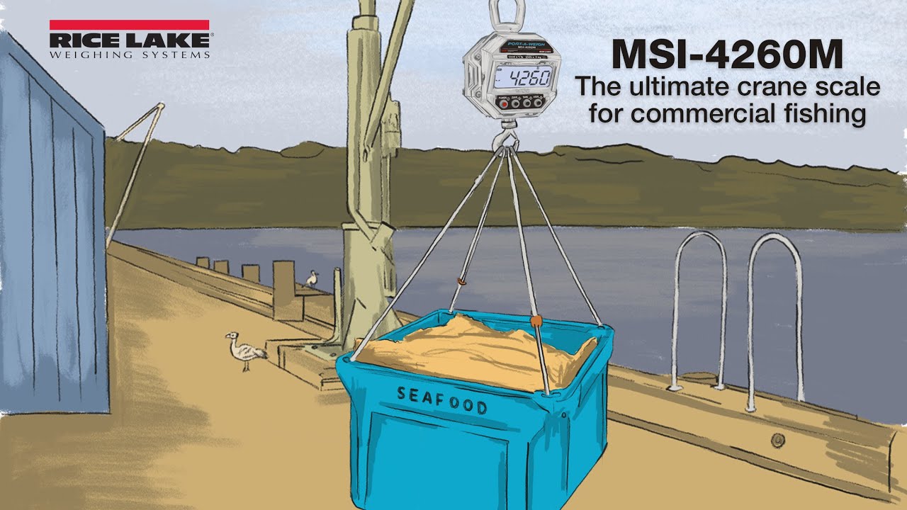 Rice Lake MSI-4260 Port-A-Weigh Crane Scale, Digital Scales