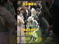 天皇皇后両陛下、春の園遊会で各界の方々と談笑される✨✨ ※1分バージョン