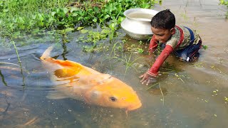 Amazing Hand Fishing - Smart Boy Catching Fish by Hand - Traditional Hand Fishing Video