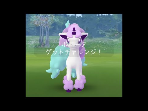 ポケモンgo ガラルポニータレイドバトルとゲットチャレンジ Youtube