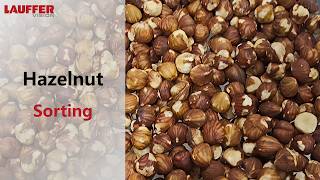 AI Powered Sensor-Based Sorting Technology: Hazelnut Sorting