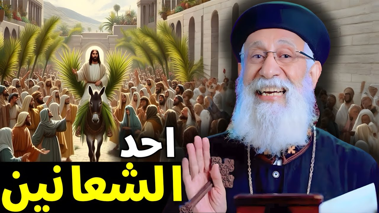 اجمل تأمل هتسمعه في احد الشعانين 🌿 بداية اسبوع الالام - ابونا ارميا بولس