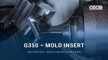 G350 – Mold Insert | Formeinsatz