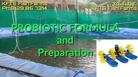 Probiotic Formula and Preparation  / Biofloc - MEHA MEDIA