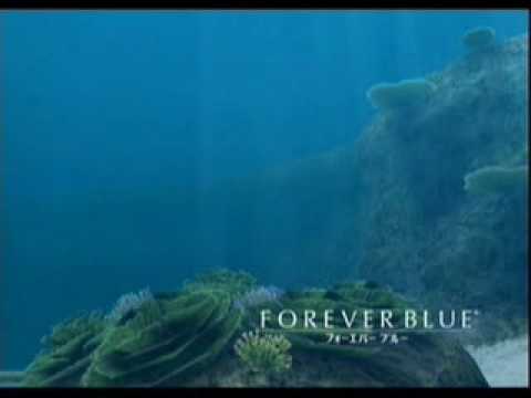 洋楽 Forever Blue Amazon.co.jp: Forever Blue: ミュージック