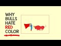 Understanding Bull Behavior in Bullfighting
