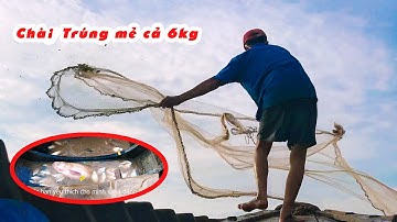 Chài Cá Sông trúng mánh chày cá bự Cá mè Dinh đâm banh chài 6Kg || Tứng Anh 16T