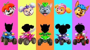 Wrong eyes👀 PAW Patrol NEW EPISODES Compilation! w/ Chase & Marshall - DAME TU COSITA Wrong Heads