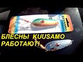 58 БЛЁСНЫ KUUSAMO -ИСТРЕБИТЕЛИ ЩУК И ОКУНЕЙ!//Russia Volga fishing pike