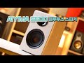 AIYIMA S600 블루투스 북쉘프 스피커