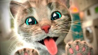 Cute Kitten Little Cat Adventure - Play Fun Pet Care - Preschool Educational Games #1092