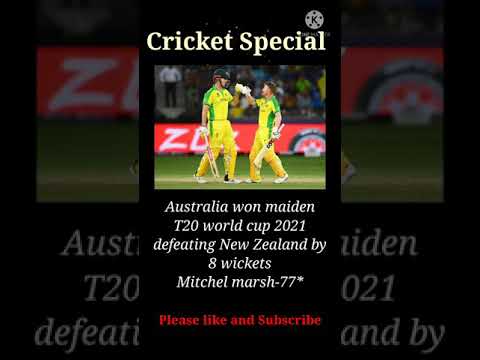 Australia T20 world cup champion 2021t20worldcup shorts final australia blackcaps newzealand