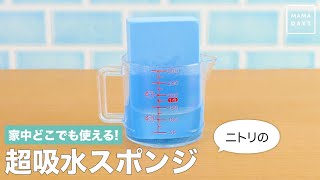 家中どこでも使える！ニトリの超吸水スポンジ