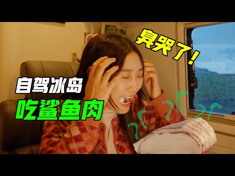 冰岛下雨天宅房车吃鲨鱼肉，臭到不能住人！从中国自驾到冰岛【VanLife】ENG SUB