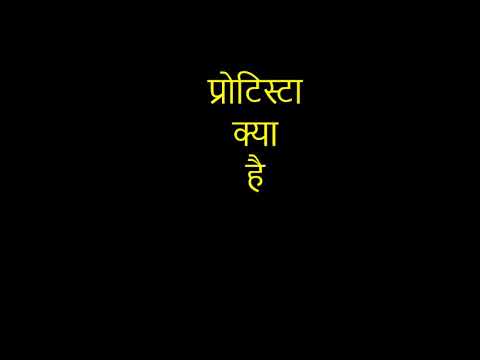 प्रोटिस्टा क्या है