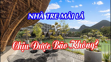 Nhà tre mái lá vẫn đứng vững giữa tâm bão cấp 12 – Không ai tin cho đến khi chứng kiến tận mắt!