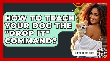 How To Teach Your Dog The "Drop It" Command? - Obedient Dog Guide