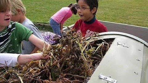 How to Use a Compost Tumbler
