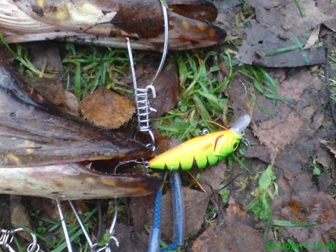 Обзор ASAKURA PERCH SR-F - YouTube