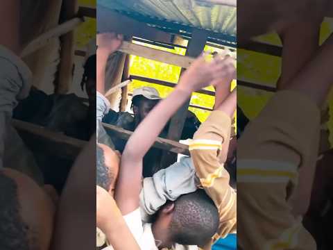 IKAMBA by Mozzy Yemba Boy 🔥 #youtubeshorts  #shorts #trending  #viral