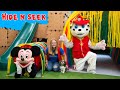 Assistant Plays Box Fort Hide n Seek with Paw Patrol and Mickey Mouse